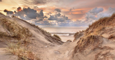 Zomer rustperiode