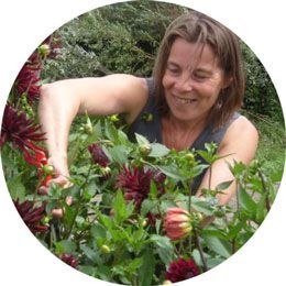 Anna Verberne